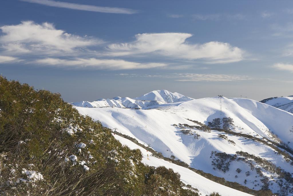 Sambuca Lejlighed Mount Hotham Værelse billede